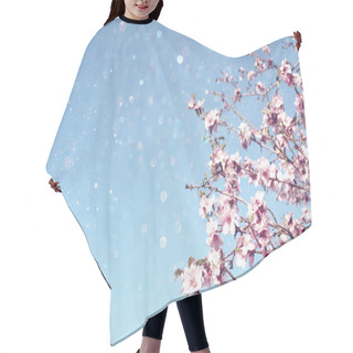Personality  Background Of Spring Cherry Blossoms Tree. Selective Focus Hair Cutting Cape