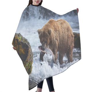 Personality  Alaskan Brown Bear With A Salmon Hair Cutting Cape