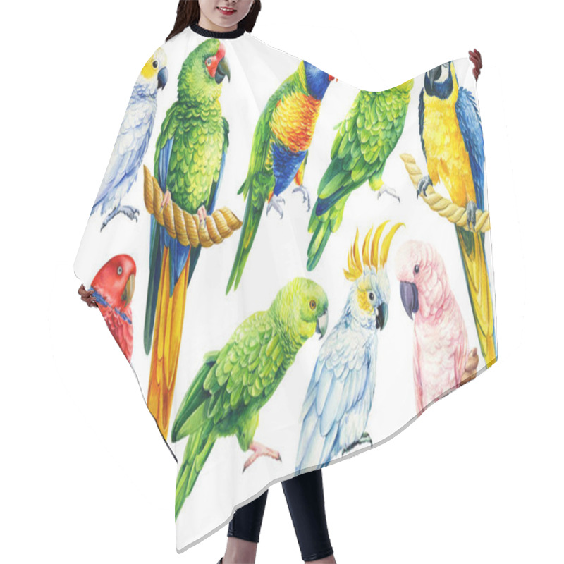 Personality  Set Of Parrots, Birds On An Isolated White Background, Watercolor Illustration, Hand Drawing Hair Cutting Cape