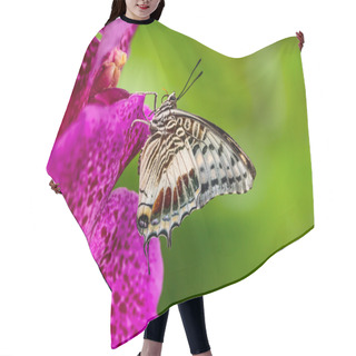 Personality  Closeup Butterfly On Flower Blossom Hair Cutting Cape