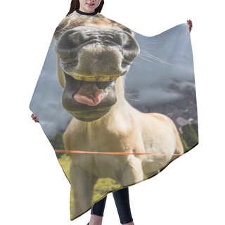 Personality  Funny Horse Hair Cutting Cape