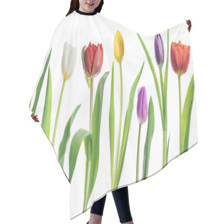 Personality  Row Of Colorful Tender Tulips On White Background. Hair Cutting Cape