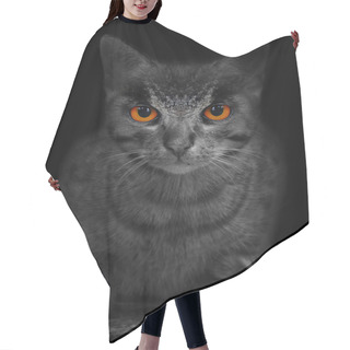 Personality  Wild Cat Hair Cutting Cape