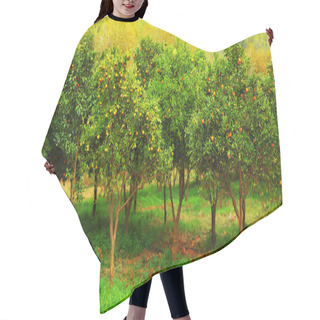 Personality  Mandarin Trees Hair Cutting Cape