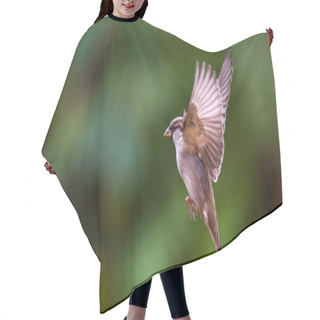 Personality  Flying House Sparrow Hair Cutting Cape