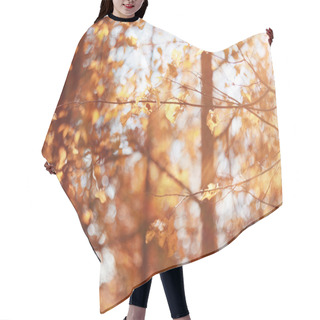 Personality  Autumn Sky Leaves Background Hair Cutting Cape