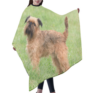 Personality  Griffon Bruxellois Dog In The Spring Garden Hair Cutting Cape