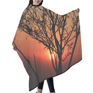 Personality  Tree At Dawn With Rays Of The Sun Hair Cutting Cape