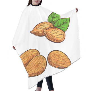 Personality  Almond Isolated Vector Icon Hair Cutting Cape