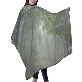 Personality  Road Through A Green Forest Hair Cutting Cape