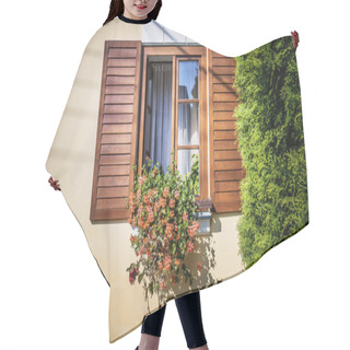Personality  Old Window With Florist Hair Cutting Cape