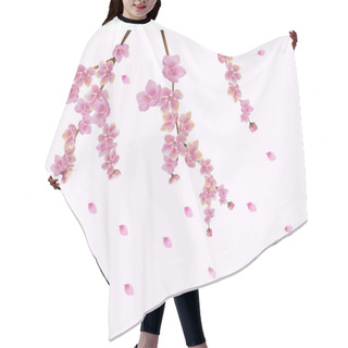 Personality  Spring. All Wakes Up, Flowers Sakura Blossom.Postcard  Hair Cutting Cape
