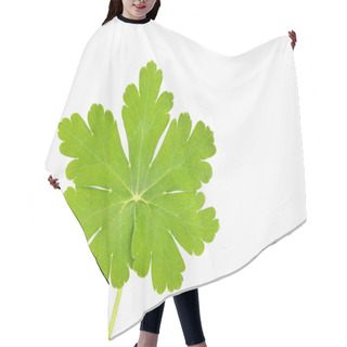 Personality  Bright Green Hairy Leaf Hair Cutting Cape