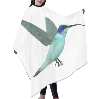 Personality  3d Render Of Colibri Bird Hair Cutting Cape