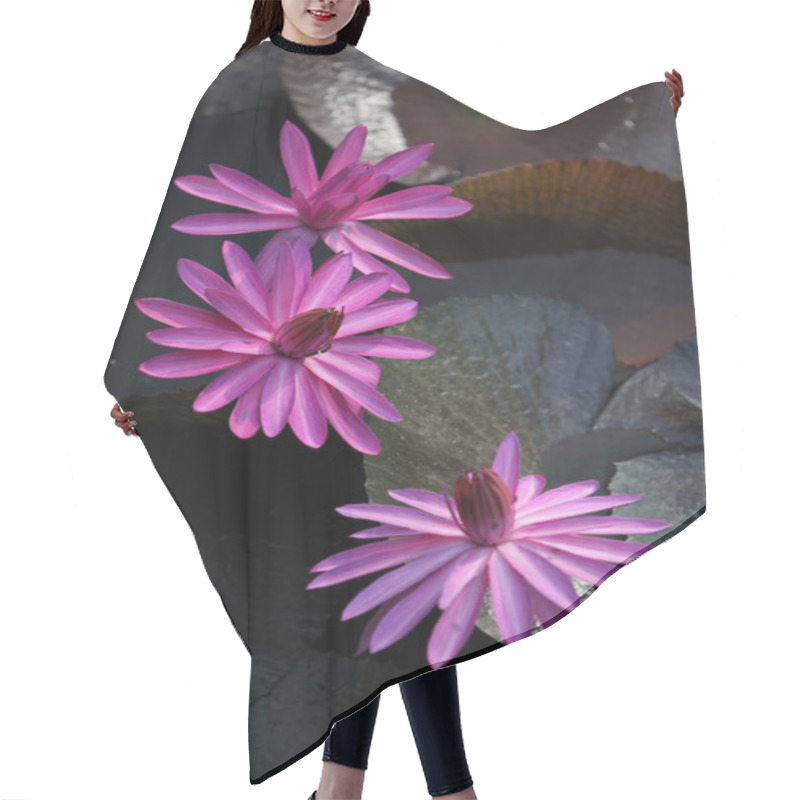 Personality  ASIA THAILAND AYUTHAYA NATURE LOTUS FLOWER Hair Cutting Cape