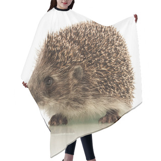 Personality  Hedgehog On White Background Hair Cutting Cape