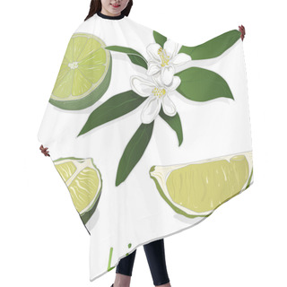 Personality  Juicy Lime On White Background. Hair Cutting Cape