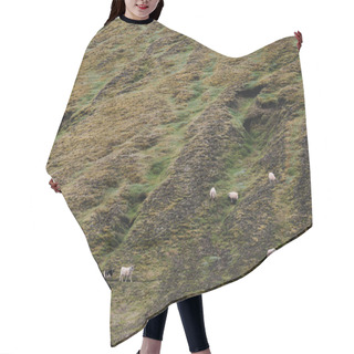 Personality  Sheep Hair Cutting Cape