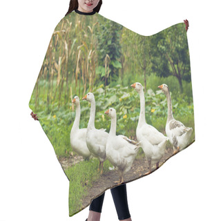 Personality  Flock Of White Domestic Geese Hair Cutting Cape