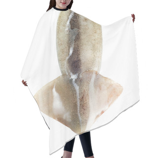 Personality  Squid Tail Isolated  Hair Cutting Cape
