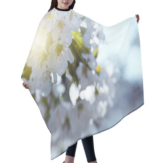 Personality  Flowers Of The Cherry Blossoms On A Spring Day Hair Cutting Cape