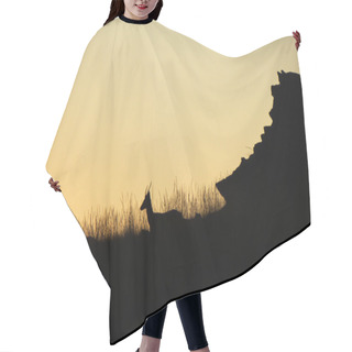 Personality  Sunset Deer Hair Cutting Cape