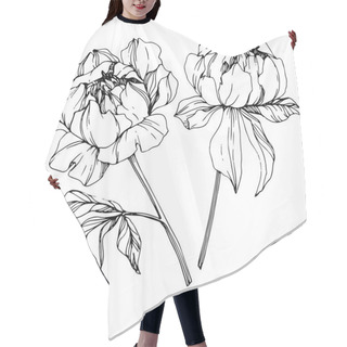 Personality  Vector Isolated Monochrome Peony Flowers Sketch On White Background. Engraved Ink Art.  Hair Cutting Cape