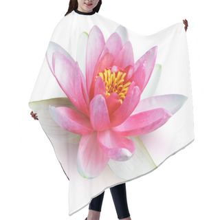 Personality  Red Water Lily Hair Cutting Cape