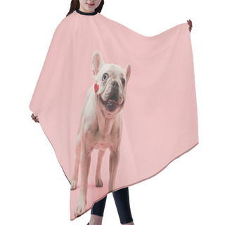 Personality  French Bulldog With Red Heart On Muzzle And Black Nose On Pink Background Hair Cutting Cape