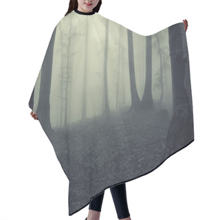 Personality  Fog In A Dark Mysterious Forest Hair Cutting Cape