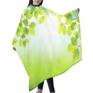 Personality  Solar Day Hair Cutting Cape