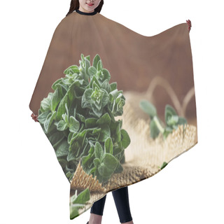 Personality  Fresh Green Oregano Or Origanum Vulgare In A Beam, Vintage Wood Background, Selective Focus Hair Cutting Cape