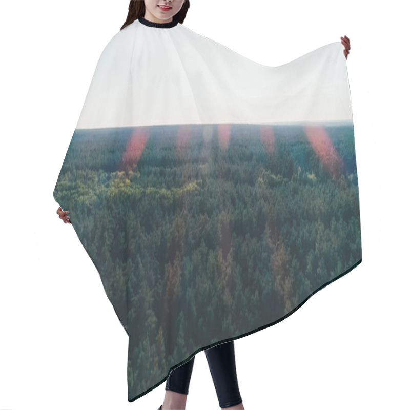 Personality  Aerial view of green forest and sky at daytime  hair cutting cape