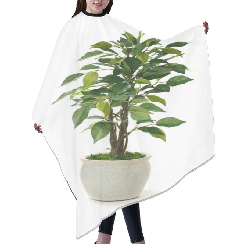 Personality  Artificial Tree Hair Cutting Cape