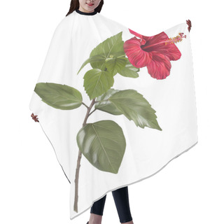 Personality  Painting Of Hibiscus Flower On White Background Hair Cutting Cape