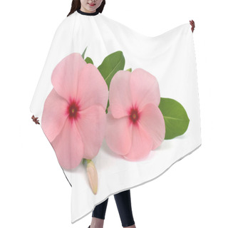 Personality  Beautiful Pink Periwinkle Flowers Isolated On White Background Hair Cutting Cape