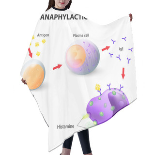 Personality  Allergy And Anaphylaxis Hair Cutting Cape
