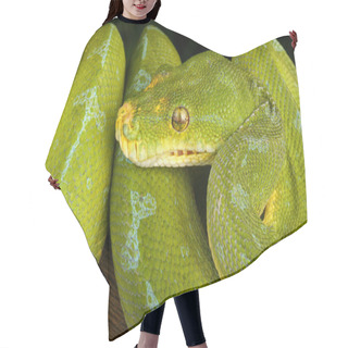 Personality  Green Tree Python Hanging For A Tree. Hair Cutting Cape
