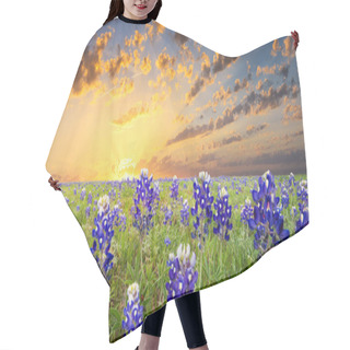 Personality  Bluebonnets Covering A Rural Texas Field At Sunrise Hair Cutting Cape