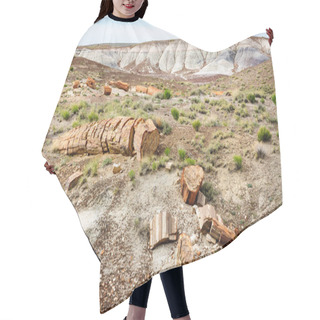 Personality  Petrified Forest National Park Hair Cutting Cape