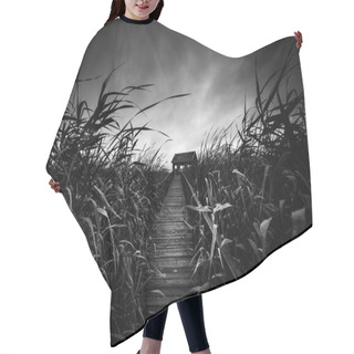 Personality  Wooden Path Trough The Reed Hair Cutting Cape