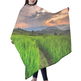 Personality  Paddy Green Sunset View Hair Cutting Cape