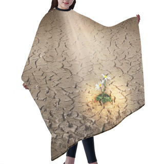 Personality  Flowers In The Desert Hair Cutting Cape