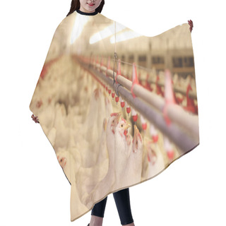 Personality  Chicken Farm, Poultry Production Hair Cutting Cape