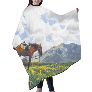 Personality  Lonely Horse On Beautiful Flowery Hill, Armenia Hair Cutting Cape
