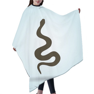 Personality  Snake Icon Illustration Hair Cutting Cape
