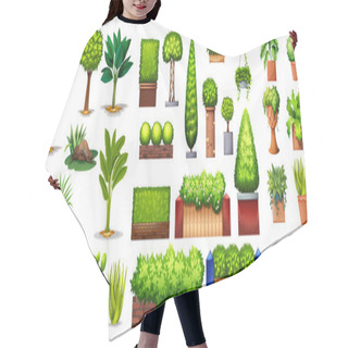 Personality  Different Species Of Plants Hair Cutting Cape