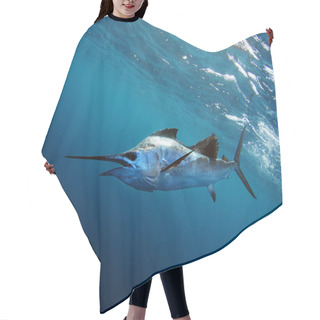 Personality  Sailfish Underwater In Blue Water Hair Cutting Cape