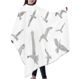 Personality  Set Of Seagulls In Flight Isolated On White Background Hair Cutting Cape