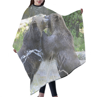 Personality  Grizzly Bear - Isolated Hair Cutting Cape